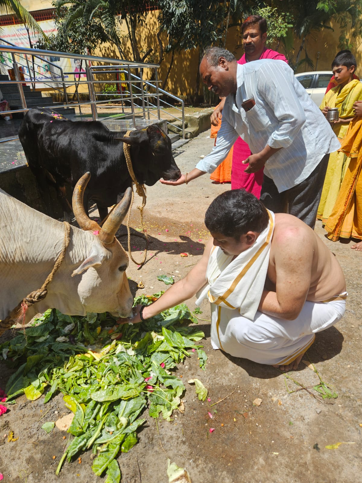 Gou Pooja